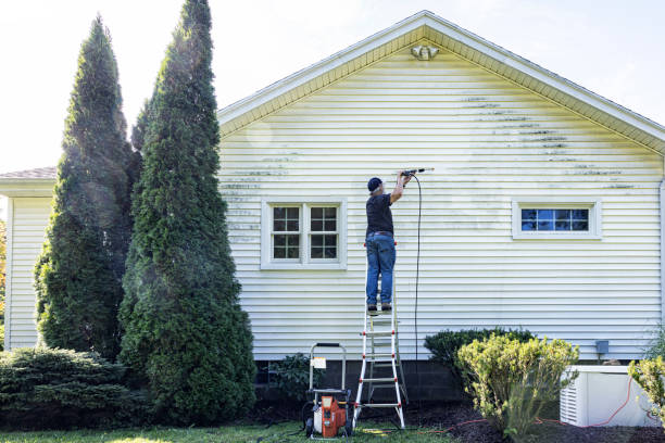 Best Garage Pressure Washing  in Frazee, MN