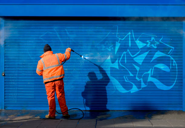 Best Commercial Building Pressure Washing  in Frazee, MN