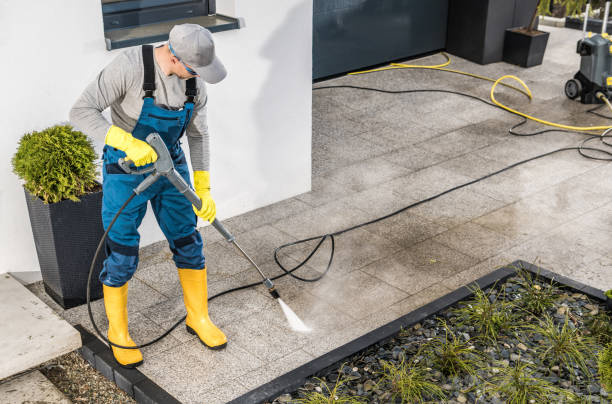 Best Pressure Washing Driveway  in Frazee, MN