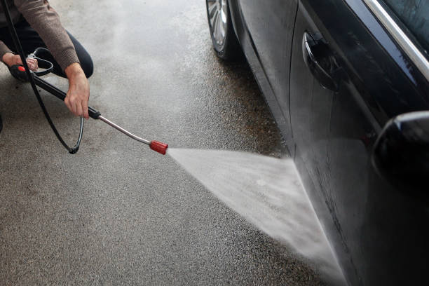 Best Roof Pressure Washing  in Frazee, MN