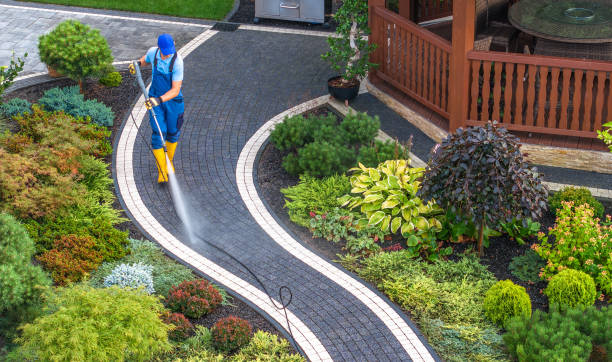 Best Commercial Building Pressure Washing  in Frazee, MN